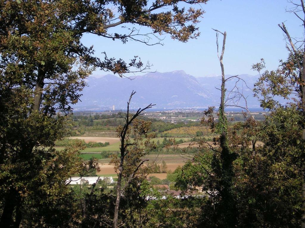 Agriturismo Dondino Cavriana Екстер'єр фото