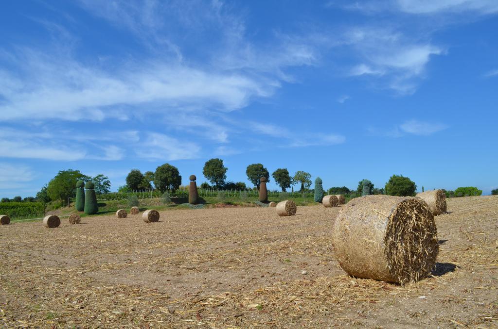 Agriturismo Dondino Cavriana Екстер'єр фото