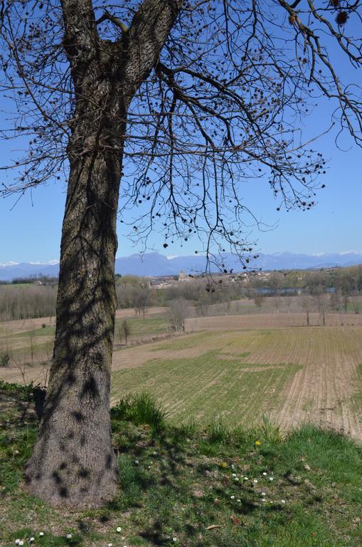 Agriturismo Dondino Cavriana Екстер'єр фото