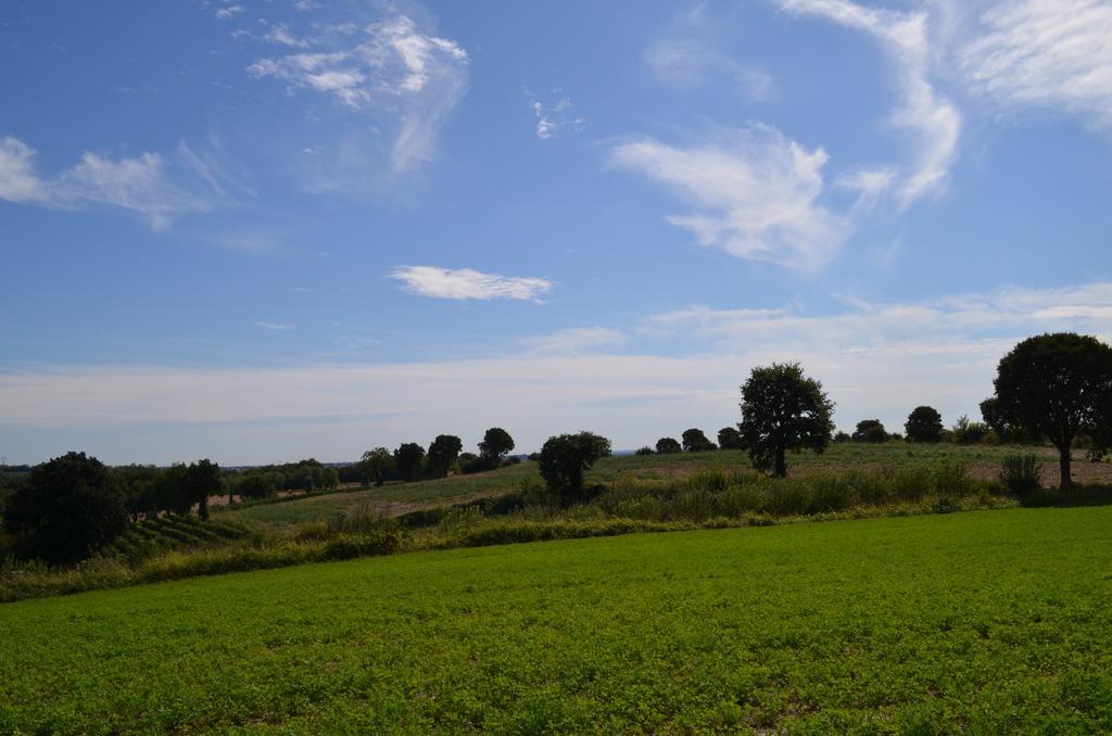 Agriturismo Dondino Cavriana Екстер'єр фото
