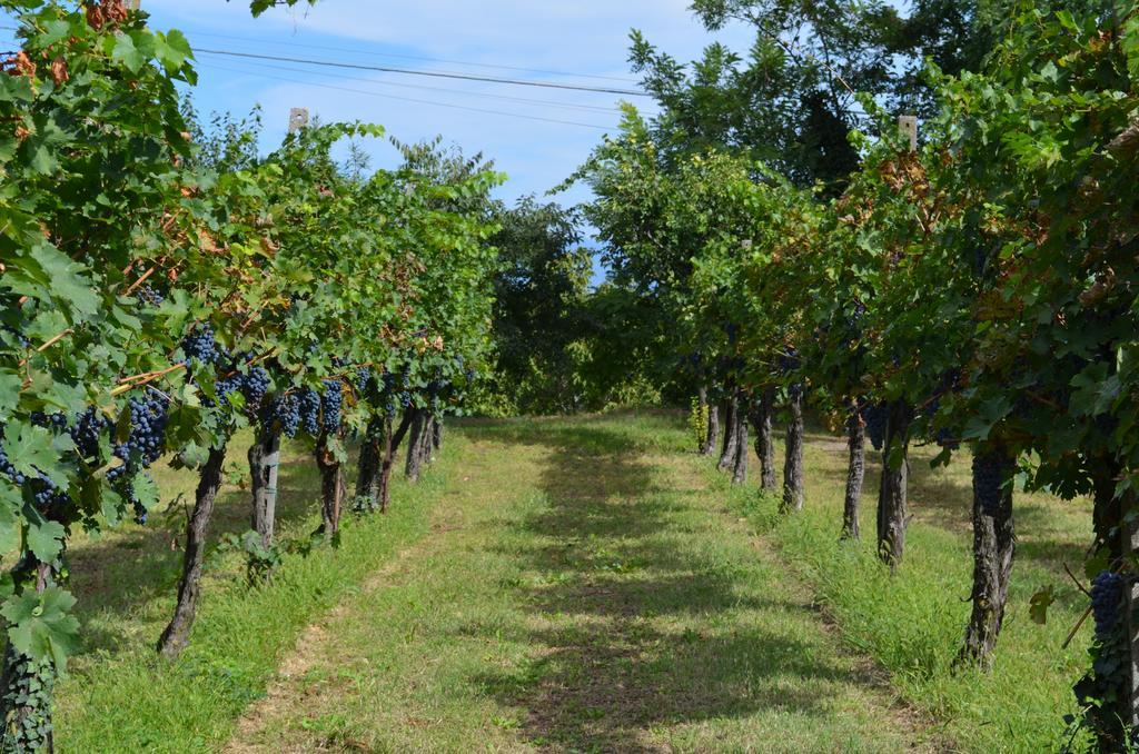 Agriturismo Dondino Cavriana Екстер'єр фото