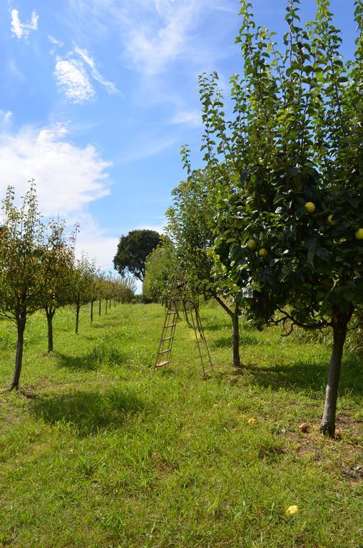Agriturismo Dondino Cavriana Екстер'єр фото